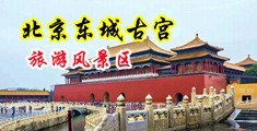 色色捅雞巴視頻中国北京-东城古宫旅游风景区