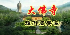 成人日屄片网站中国浙江-新昌大佛寺旅游风景区